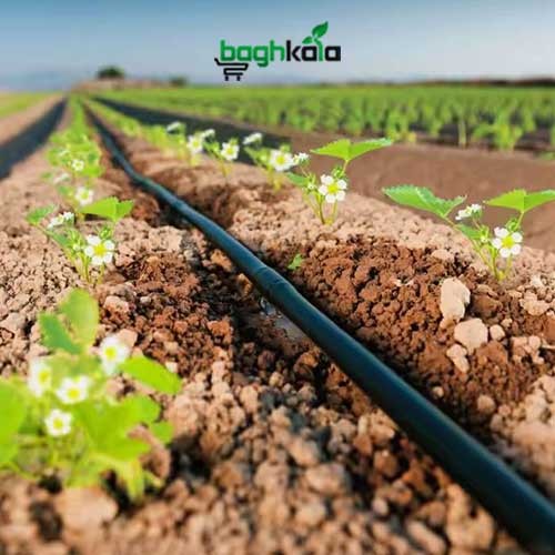 لوله 16 آبیاری دریپردار